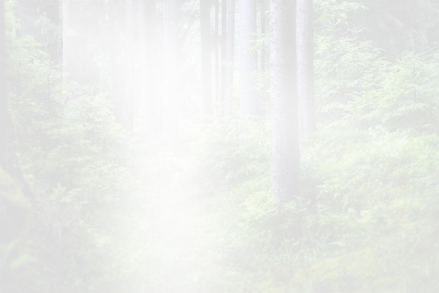 浙江省QianDuoMuインテリジェントデコレーション株式会社